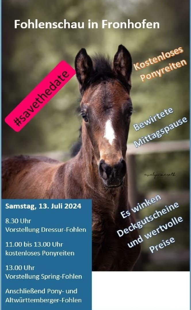 Flyer Fohlenschau 2024