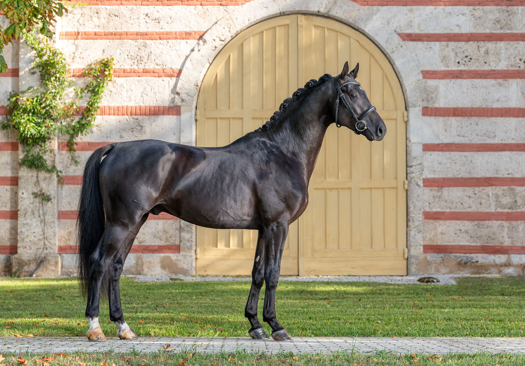 Solomeo